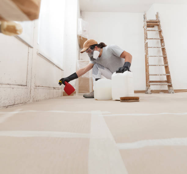 Pasadena Hills, MO Mold Removal Company